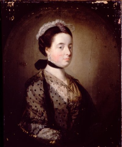 Ritratto di una signora da Tilly Kettle